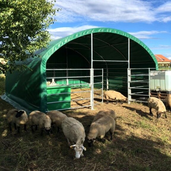 Covered pens for animals. Homesteads for horses, cattle, sheep